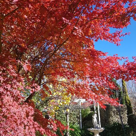 Winston Cottage At Three Sisters Katoomba Esterno foto