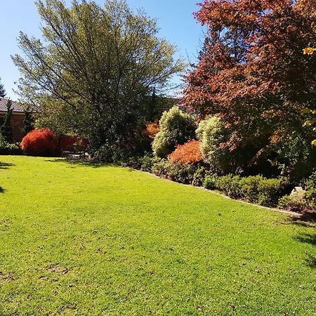 Winston Cottage At Three Sisters Katoomba Esterno foto