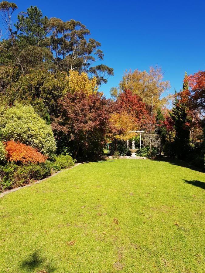 Winston Cottage At Three Sisters Katoomba Esterno foto