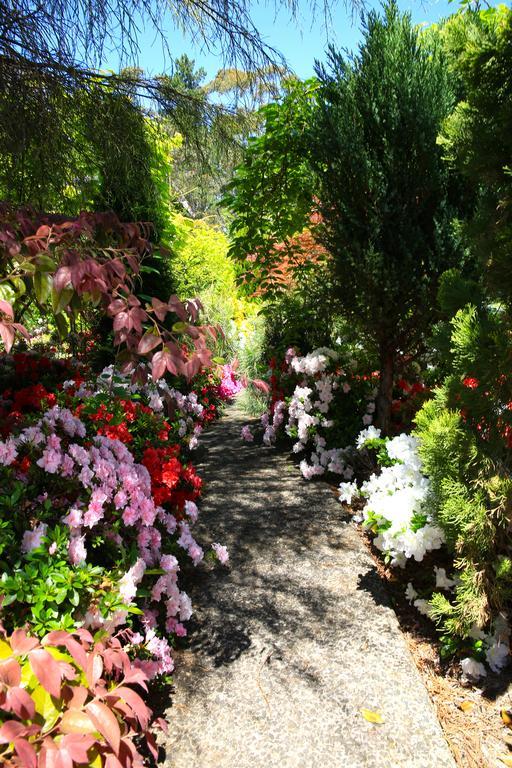 Winston Cottage At Three Sisters Katoomba Esterno foto