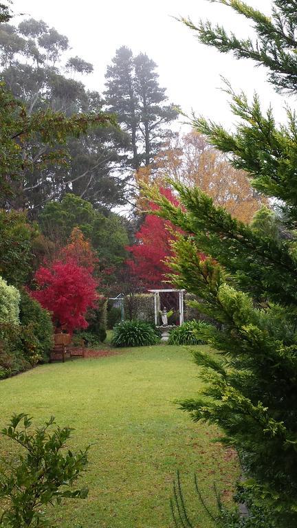 Winston Cottage At Three Sisters Katoomba Esterno foto