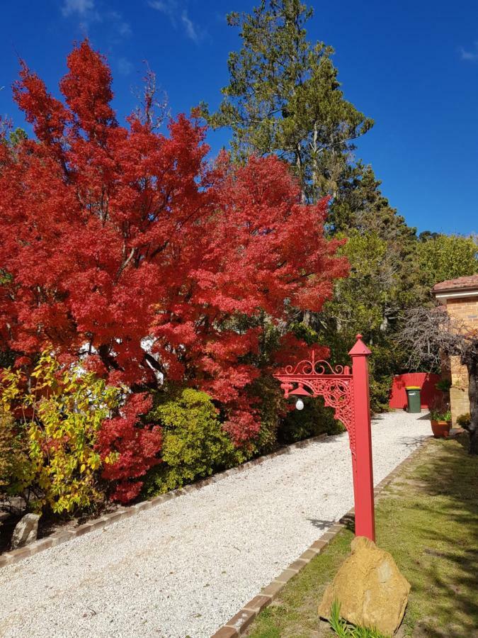 Winston Cottage At Three Sisters Katoomba Esterno foto